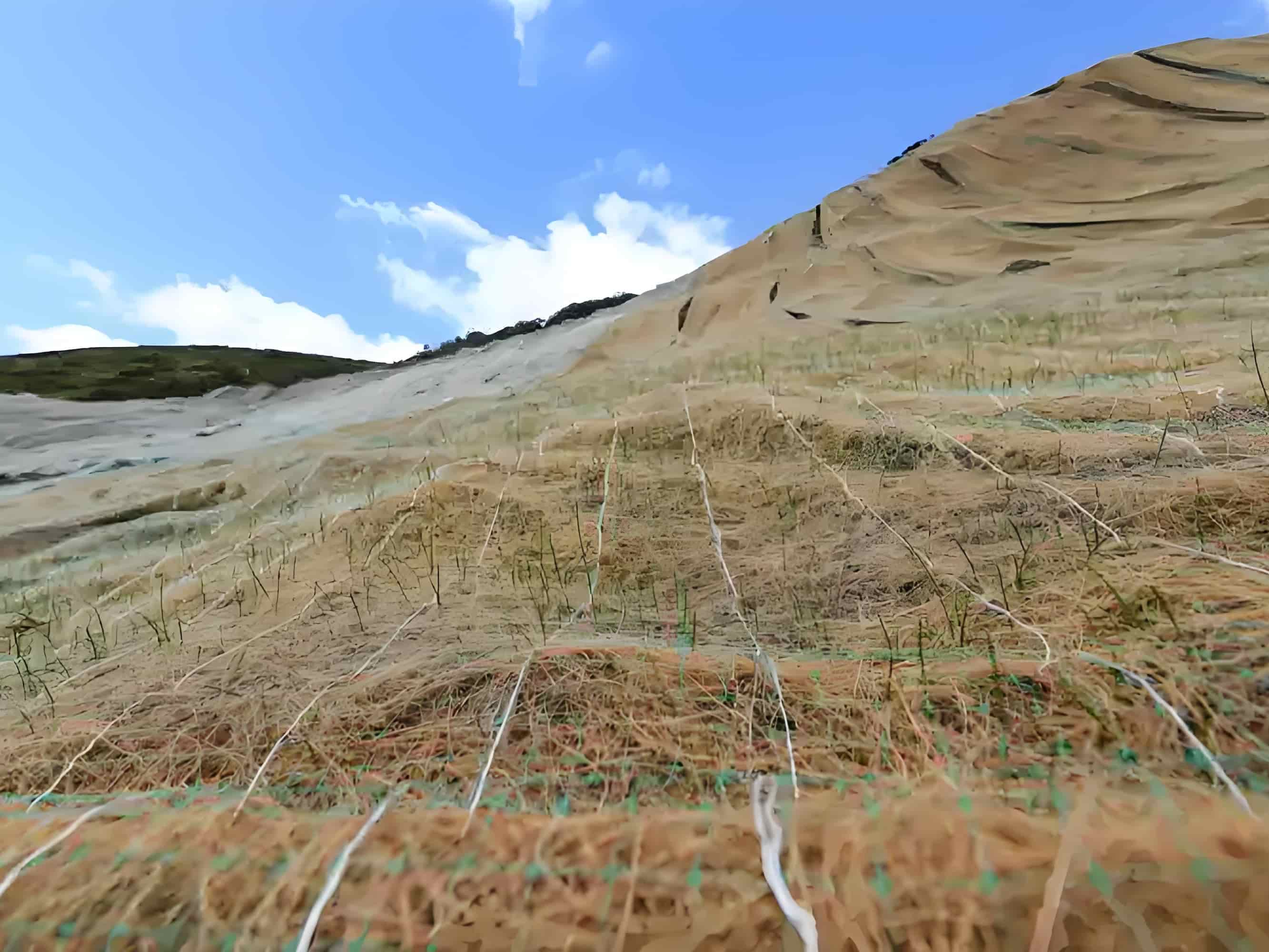 Giới thiệu sản xuất chăn chống xói mòn sợi tự nhiên (chăn dừa)