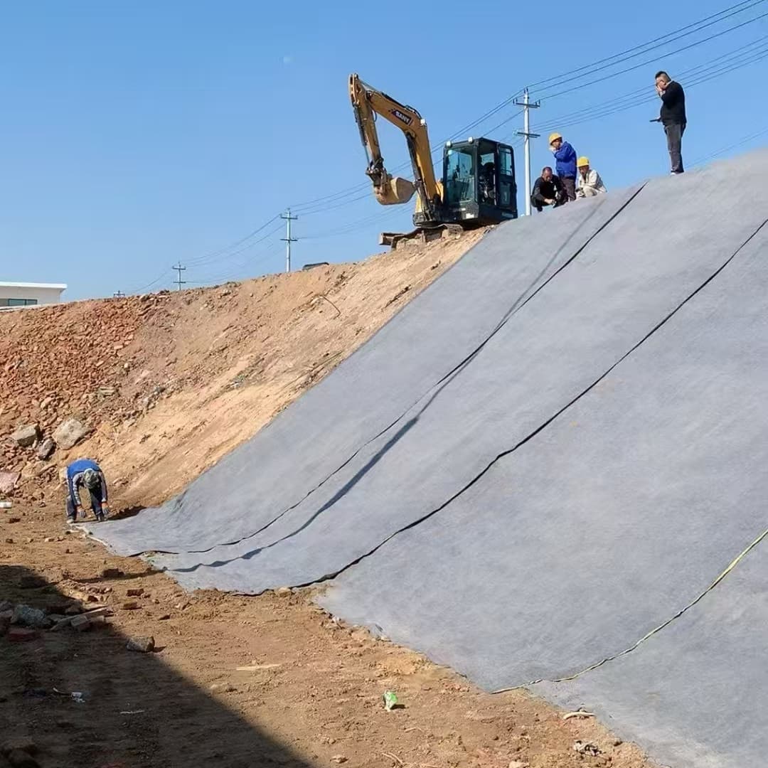 desert slope stabilization
